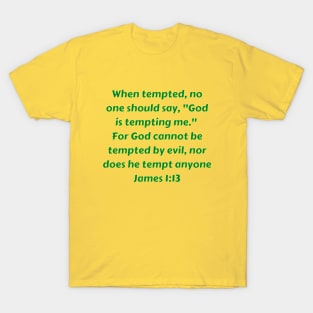 Bible Verse James 1:13 T-Shirt